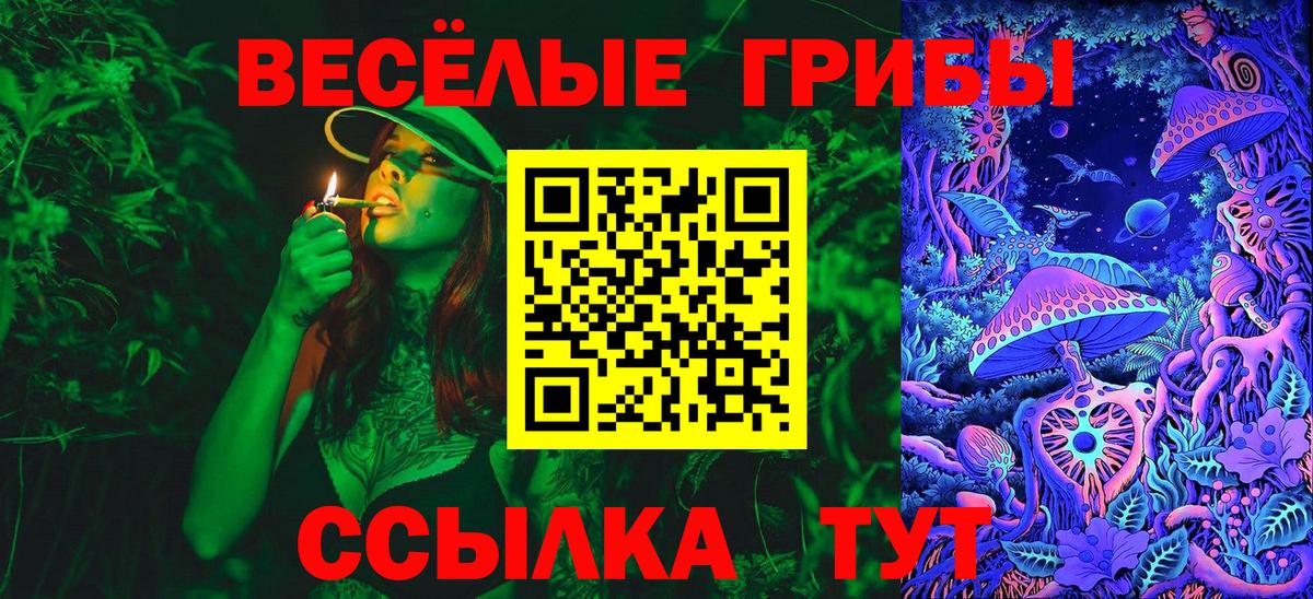 Галлюциногенные грибы Psilocybe Лянтор