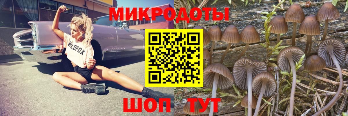 Лянтор  Галлюциногенные грибы Psilocybine cubensis  Вход с VPN  Галлюциногенные грибы Magic Shrooms 